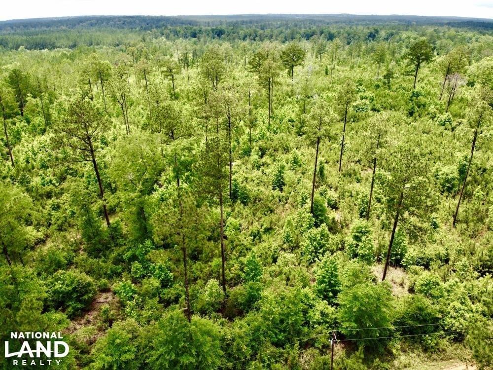 Laton Hill Escatawpa River Tract Joe Baya National Land Realty