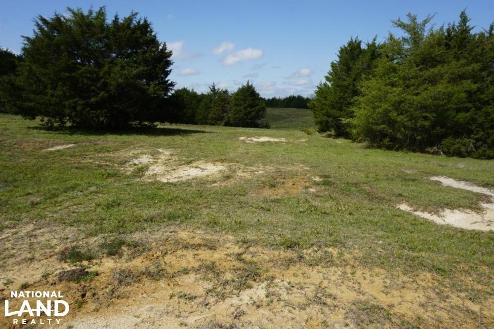 Epes Cattle Land Timberland Hunting Farming Joe Baya National