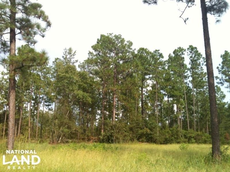 Lott Road Escatawpa River Tract Joe Baya National Land Realty