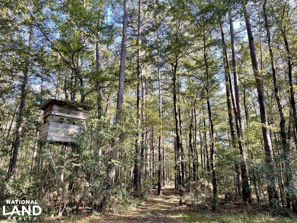 Escatawpa River Timber and Hunting Investment Joe Baya National