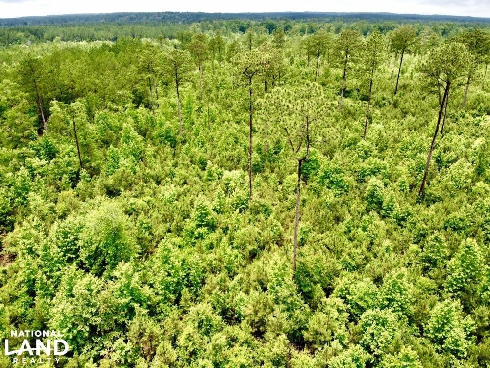 Laton Hill Escatawpa River Tract Joe Baya National Land Realty