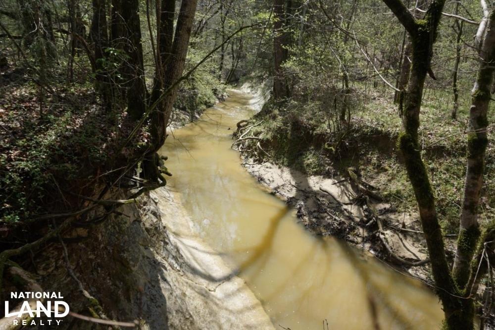 Epes Cattle Land Timberland Hunting Farming Joe Baya National