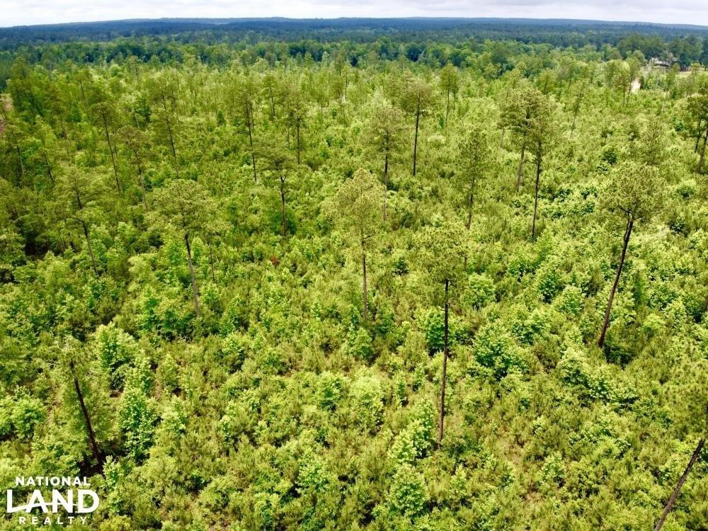 Laton Hill Escatawpa River Tract Joe Baya National Land Realty