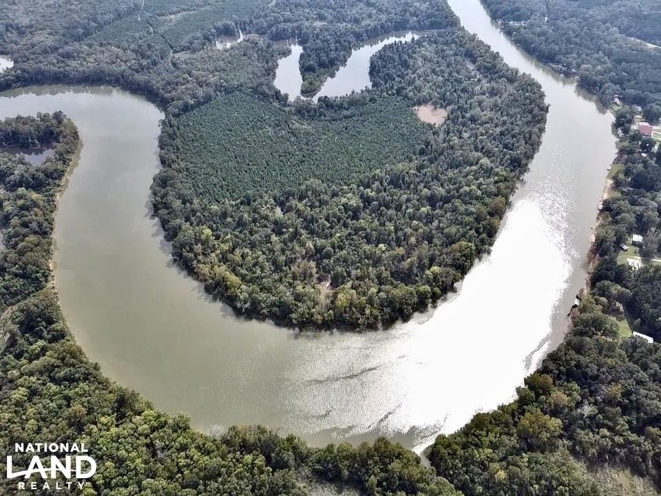 Black Warrior River Demopolis Hunting & Timber Investment Joe Baya