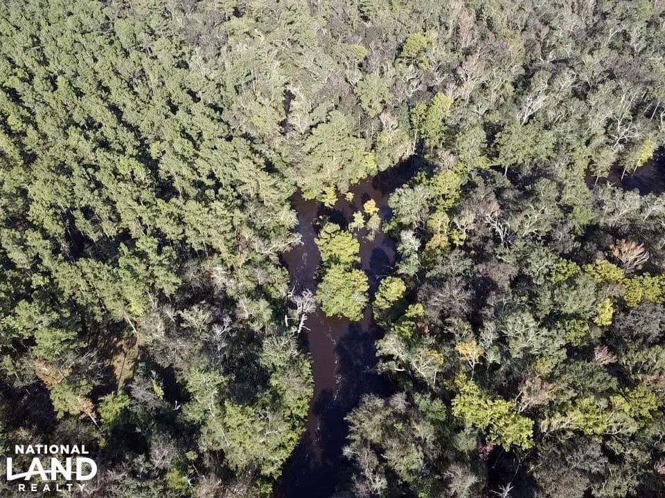 Escatawpa River Timber and Hunting Investment Joe Baya National