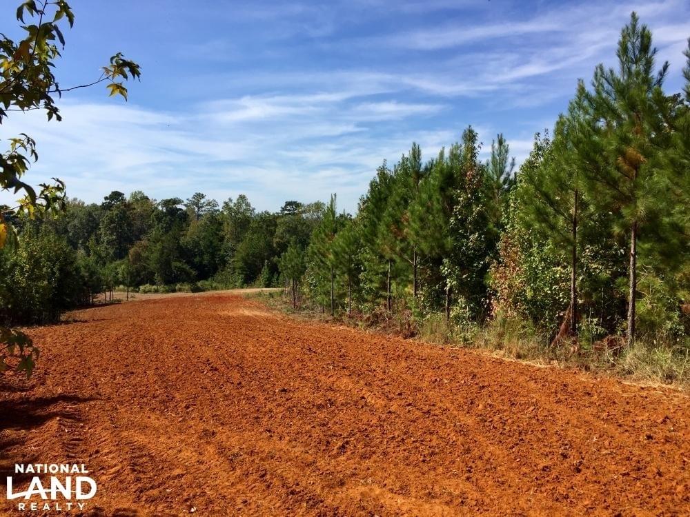 Tombigbee River Upper State Game Sanctuary Tract Joe Baya National
