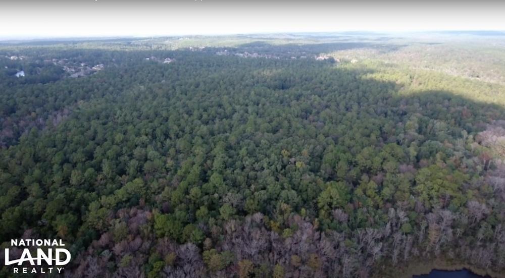 Waterfront Spanish Fort Bay Creek Tract Joe Baya National