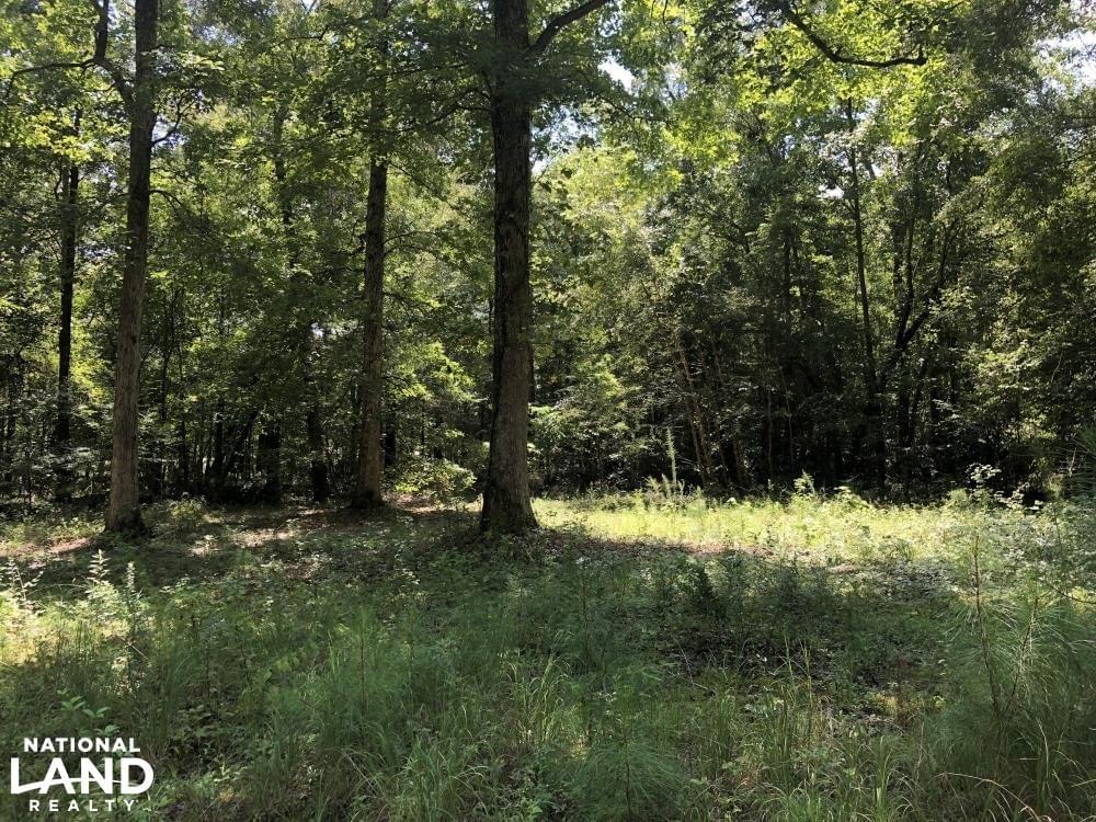 Grady Timber Investment and Hunting Tract Joe Baya National Land Realty