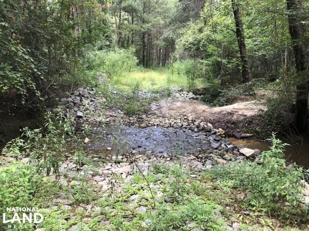 Grady Timber Investment and Hunting Tract Joe Baya National Land Realty