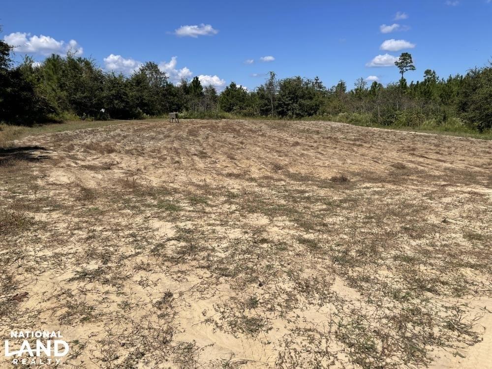 Tibbie Deer Park Timber & Hunting Land Tract A Joe Baya National