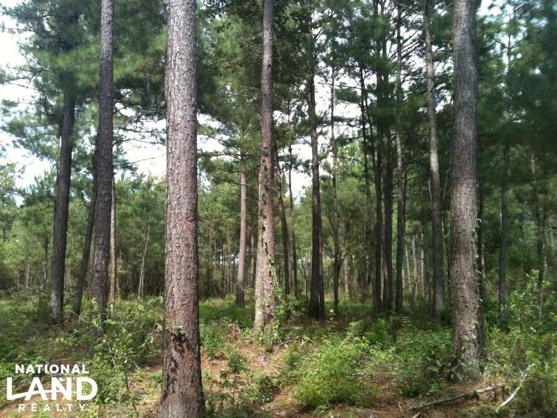 Lott Road Escatawpa River Tract Joe Baya National Land Realty