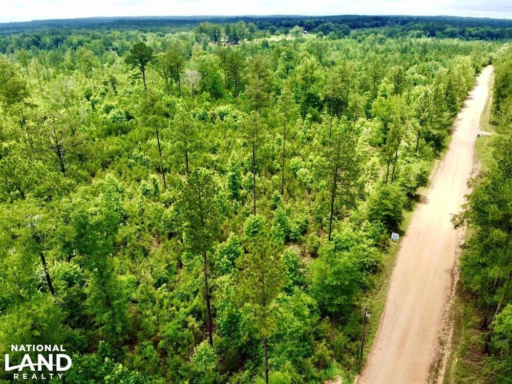 Laton Hill Escatawpa River Tract Joe Baya National Land Realty