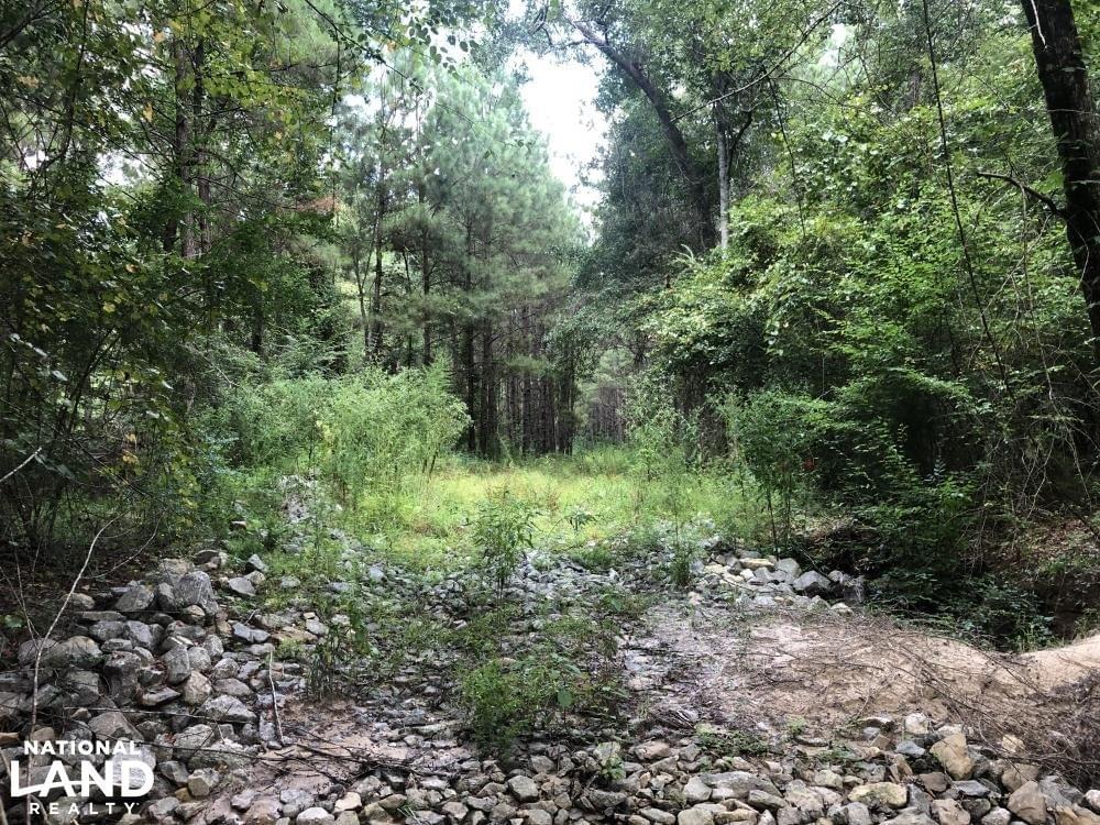Grady Timber Investment and Hunting Tract Joe Baya National Land Realty